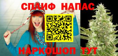 мдпв Кунгур