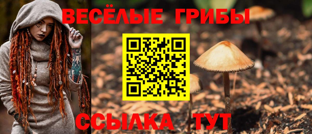 Псилоцибиновые грибы мицелий Киселёвск